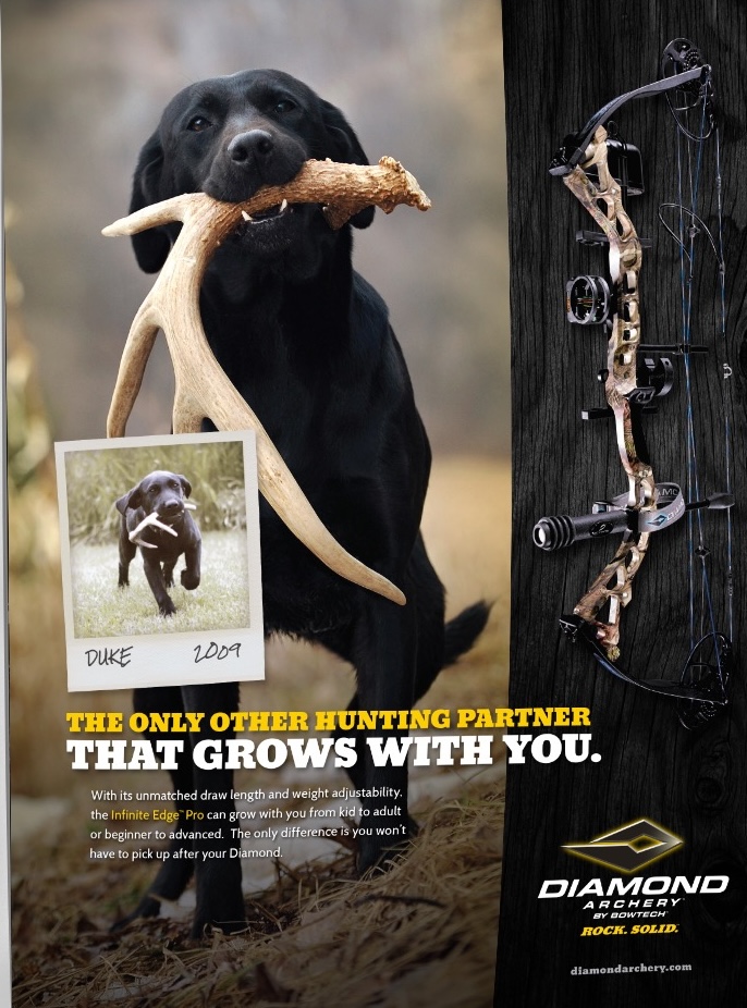 Bowtech / Diamond Archery